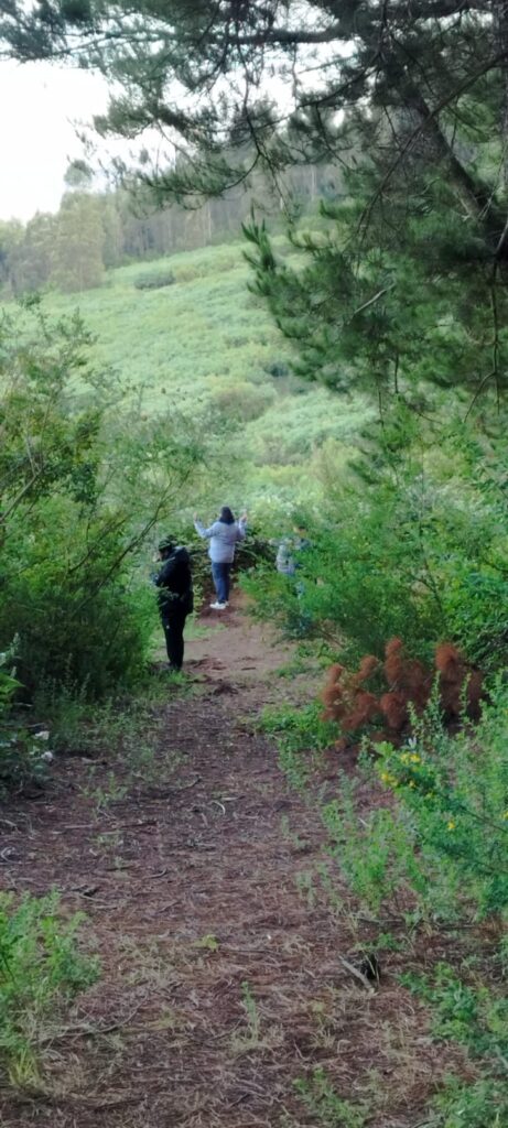 WhatsApp Image 2024-01-03 at 15.33.51 (4)